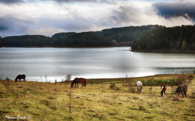 Una sera sul lago Ampollino