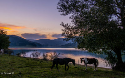 Aspettando la sera sulle rive del lago Ampollino