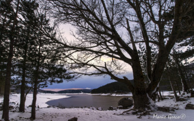 Inverno sul lago Ampollino