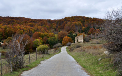 Sila Autunnale