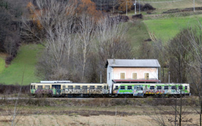 Ferrovie Calabro Lucane in Sila