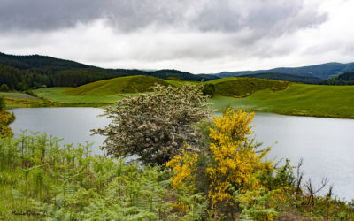 La collina del vento