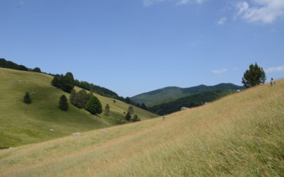 Valle di Tacina