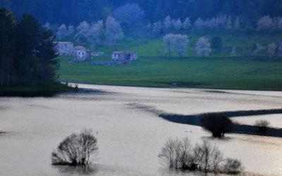 Una sera di primavera a Verberano