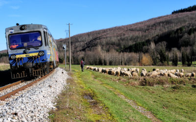 Ferrovie Calabro Lucane a Santa Margherita