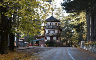 Villaggio Mancuso- la Rotonda