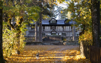 Autunno con Pato all’Albergo delle fate