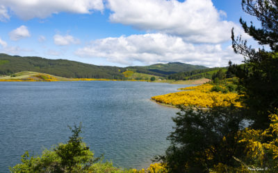 Lago Passante oggi