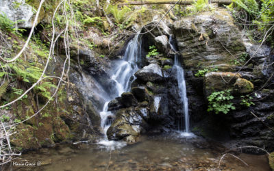 Sila-Alla sorgente del fiume Corace