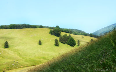 Sila- Valle di Tacina