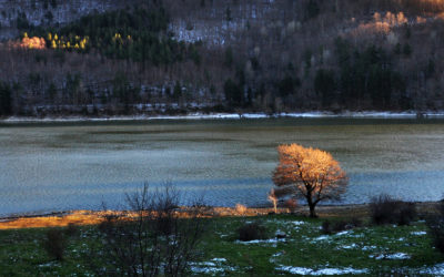 Sila-Inverno sul lago Ampollino.