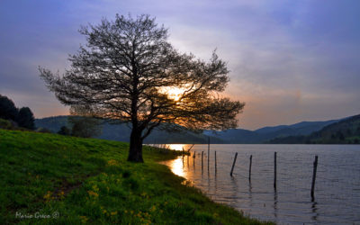 Una sera sul lago Ampollino