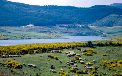 Una vecchia fotografia del lago Passante