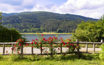 Sila- lago Ampollino