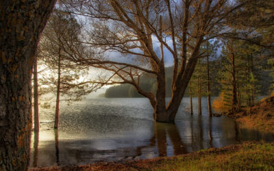 Sila – Lago ampollino