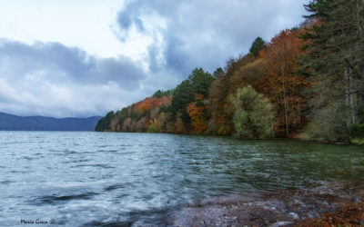 Sila – Lago Ampollino