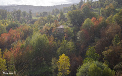 Sila- Pioggia d’autunno a Panettieri