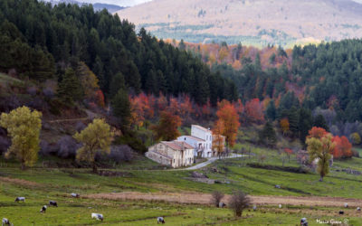 Sila- Autunno a Quattrocase sull’Ampollino