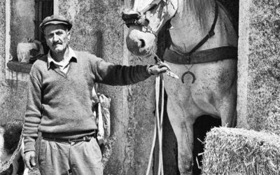 Ciccio con il suo cavallo da tiro