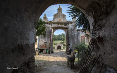 Campagne di Maierato – uno scorcio della tenuta dei marchesi Gagliardi