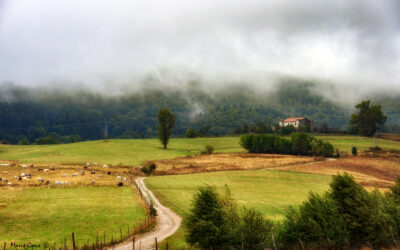 Si prepara l’autunno in Sila