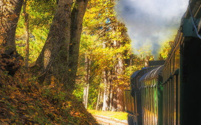 Treno nel  foliage silano