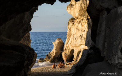 Tropea