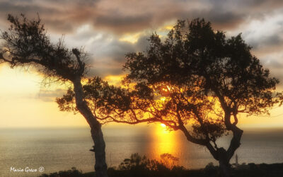 Mare di Calabria