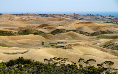 Le colline di Cutro